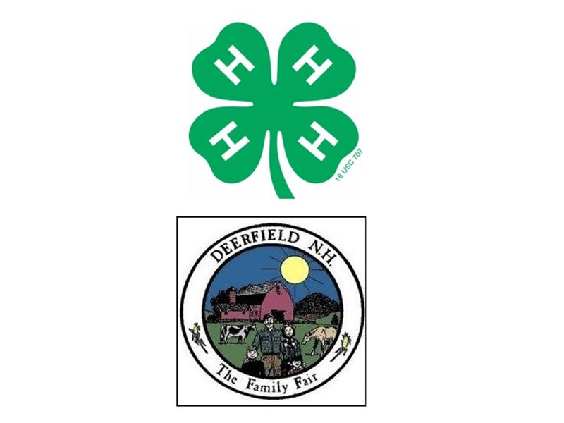 Fair Logo